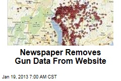Newspaper Removes Gun Data From Website