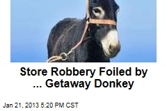 Getaway Donkey Foils Robbery