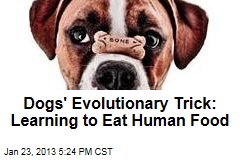 Dogs&#39; Evolutionary Trick: Learning to Eat Human Food