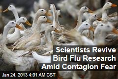 Bird Flu Research Returning Amid Contagion Fears