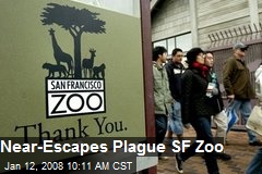 Near-Escapes Plague SF Zoo
