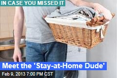 Meet the &#39;Stay-at-Home Dude&#39;