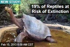 19% Reptiles at Risk of Extinction