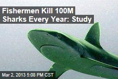 Shark-Killing Exceeds Their Ability to Survive
