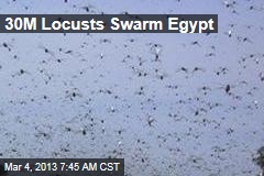 30M Locusts Swarm Egypt
