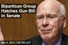 Bipartisan Group Hatches Gun Bill in Senate
