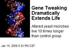 Gene Tweaking Dramatically Extends Life