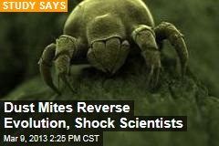 Dust Mites Reverse Evolution, Shock Scientists