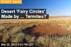 Desert &#39;Fairy Circles&#39; Made by ... Termites?