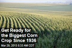 Get Ready for the Biggest Corn Crop Since 1936