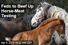 Feds to Beef Up Horse-Meat Testing
