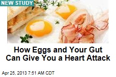How Eggs and Your Gut Can Give You a Heart Attack