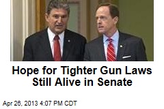 Hope for Tighter Gun Laws Still Alive in Senate