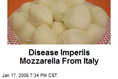 Disease Imperils Mozzarella From Italy