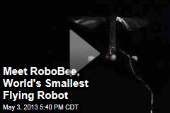 Meet RoboBee, World&#39;s Smallest Flying Robot
