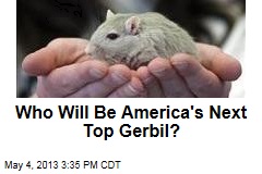 Who Will Be America&#39;s Next Top Gerbil?