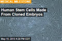 Human Stem Cells Made From Cloned Embryos