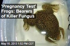 &#39;Pregnancy Test&#39; Frogs: Bearers of Killer Fungus