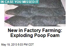 New in Factory Farming: Exploding Poop Foam