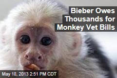 Bieber Owes Thousands for Monkey Vet Bills