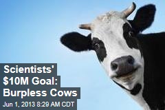 Scientists&#39; $10M Goal: Burpless Cows