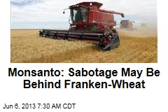 Monsanto: Sabotage May Be Behind Franken-Wheat