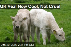 UK Veal Now Cool, Not Cruel