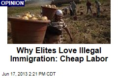 Why Elites Love Illegal Immigration: Cheap Labor