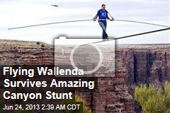 Flying Wallenda Survives Amazing Canyon Stunt