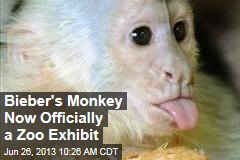 Bieber&#39;s Monkey Now Officially a Zoo Exhibit