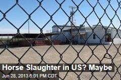 Horse Slaughter in US? Maybe