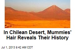 In Chilean Desert, Mummies&#39; Hair Reveals Their History
