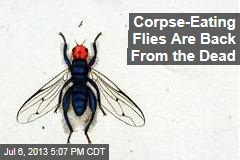 Corpse-Eating Flies Are Back From the Dead