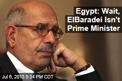 Egypt: Wait, ElBaradei isn&#39;t Prime Minister