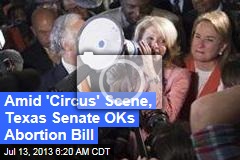 Amid &#39;Circus&#39; Scene, Texas Senate OKs Abortion Bill