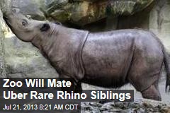 Zoo Will Mate Uber Rare Rhino Siblings