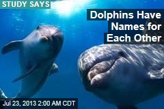 Dolphins Have Names for Each Other