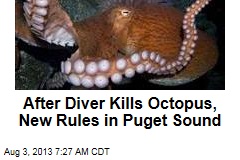 After Diver Kills Octopus, Panel Tightens Rules