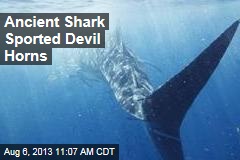 Ancient Shark Sported Devil Horns