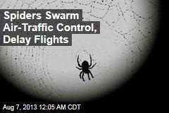 Flights Delayed&mdash; Due to Spider Bites