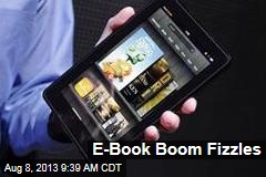 E-Book Boom Fizzles