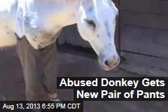 Abused Donkey Gets New Pair of Pants