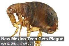 New Mexico Teen Gets Plague
