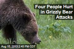 Four People Hurt in Grizzly Bear Attacks