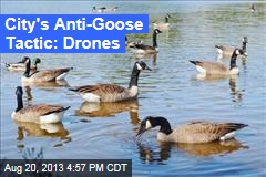 Town&#39;s Anti-Goose Tactic: Drones
