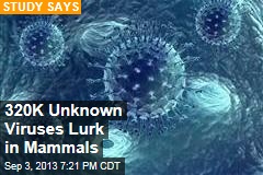320K Unknown Viruses Lurk in Mammals