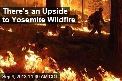 There&#39;s an Upside to Yosemite Wildfire