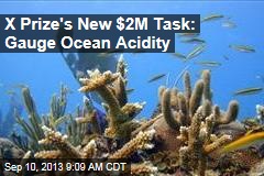 X Prize&#39;s New $2M Task: Gauge Ocean Acidity