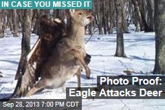 Photo Proof: Eagle Attacks Deer