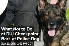 What Not to Do at DUI Checkpoint: Bark at Police Dog